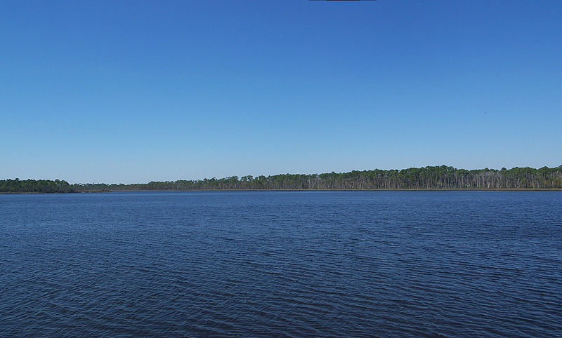 Tarkiln Bayou Preserve State Park