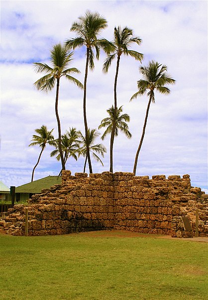 Banyan Tree