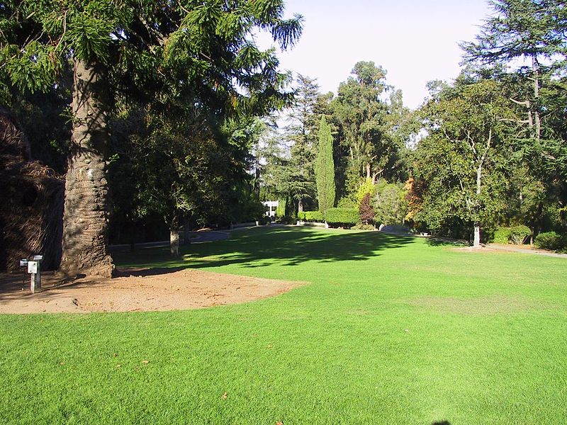 Villa Montalvo Arboretum