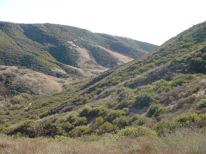 Crystal Cove State Park