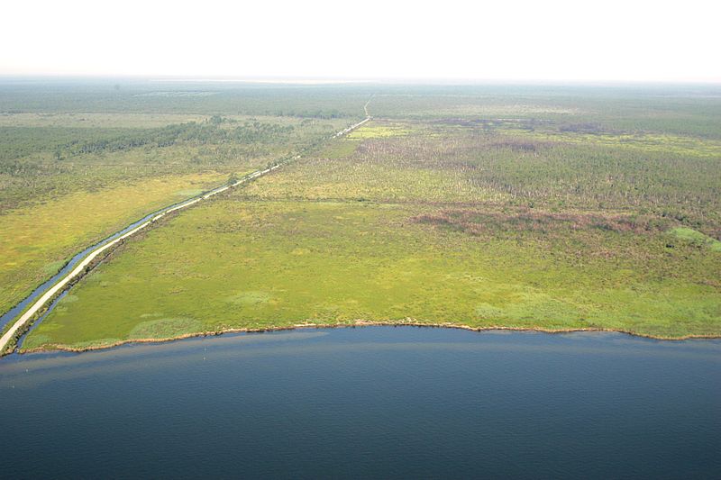 Refuge faunique national d'Alligator River