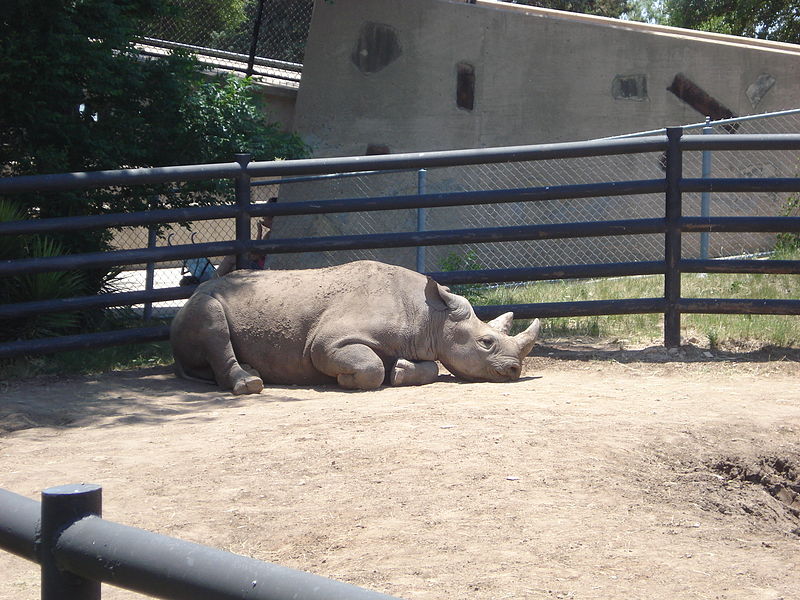 Abilene Zoological Gardens