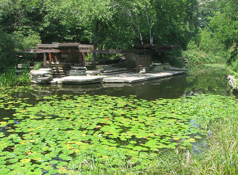 Alfred Caldwell Lily Pool