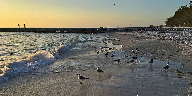 Anna Maria Island