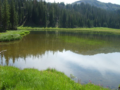 Bonny Lakes