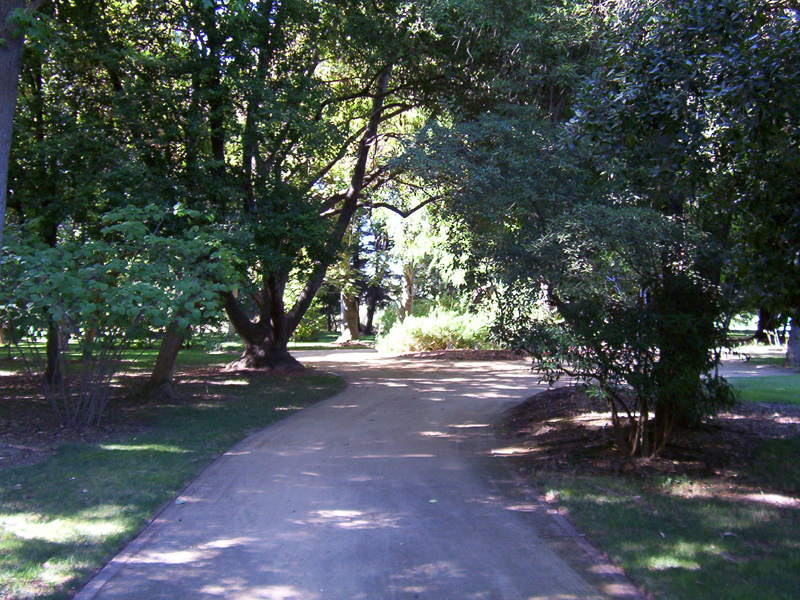 Arboreto de la universidad estatal de California, Campus de Sacramento