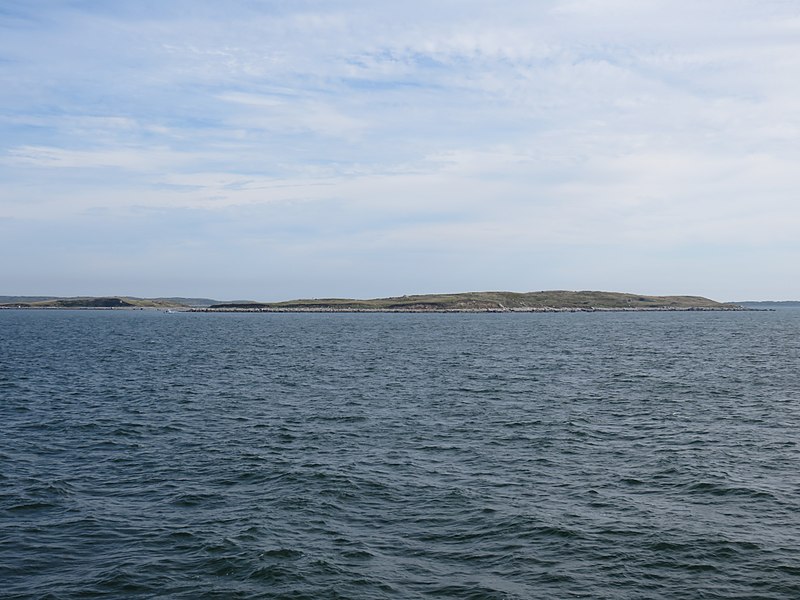 Penikese Island