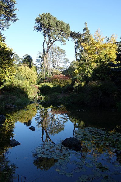 Jardín botánico de San Francisco