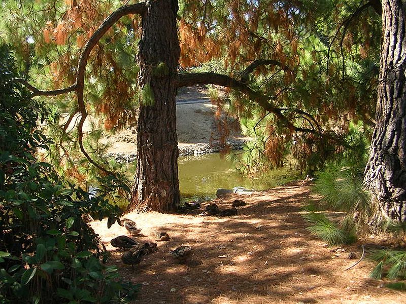 Arboreto de la Universidad de California Campus de Davis