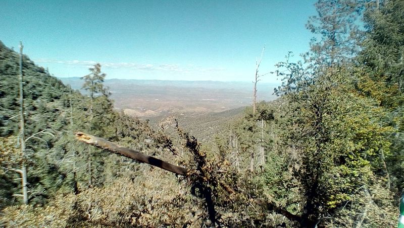 Pinal Mountains