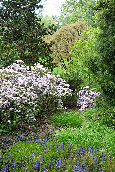 Longwood Gardens