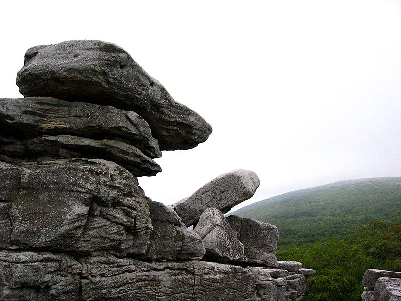 Dolly Sods Wilderness