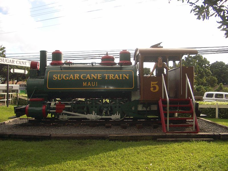 Sugar Cane Train