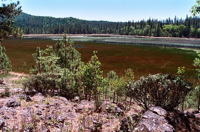 Boggs Lake Ecological Reserve