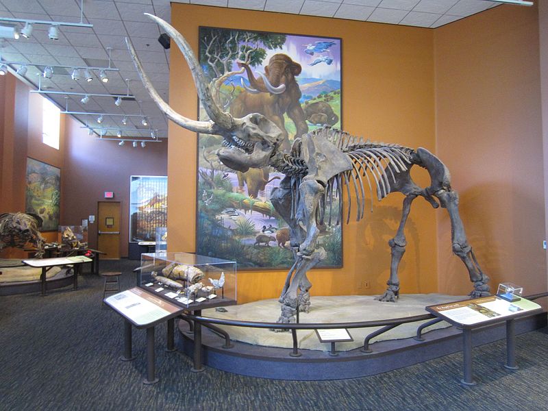 Museo de Historia Natural de San Diego