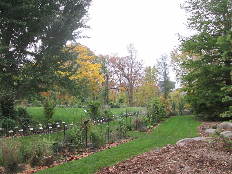 W. J. Beal Botanical Garden