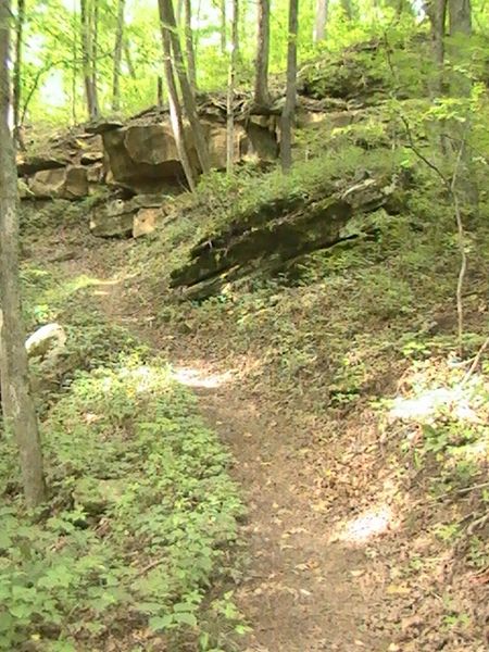 Buzzard Roost Trail