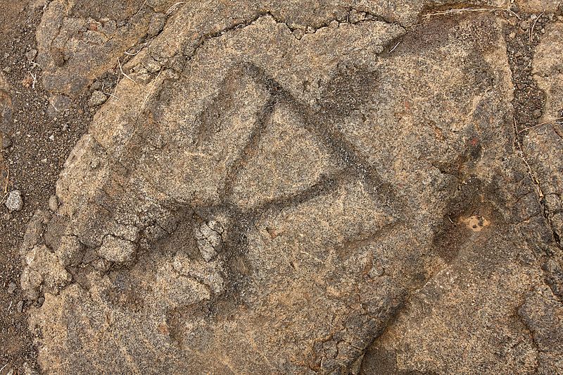 Pu‘u Loa Petroglyphs