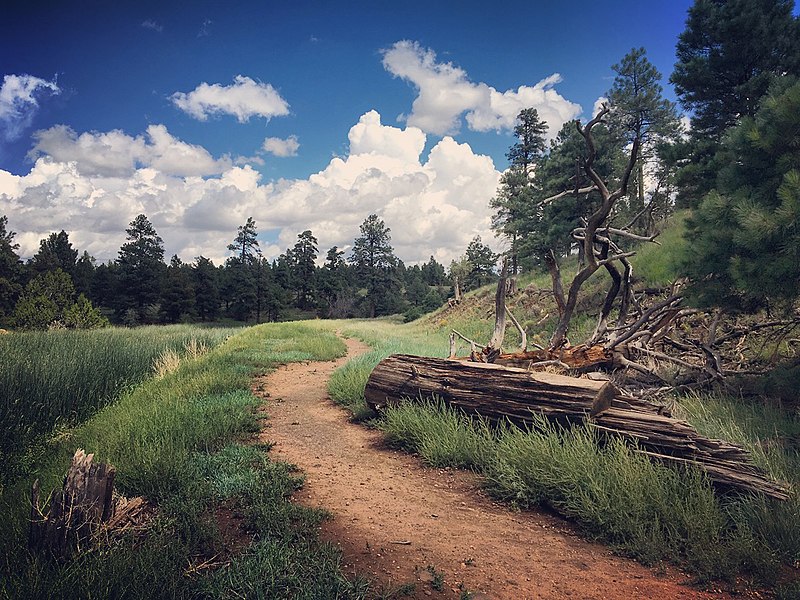 Picture Canyon Natural and Cultural Preserve