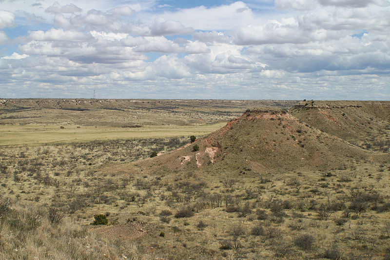 Yellow House Canyon