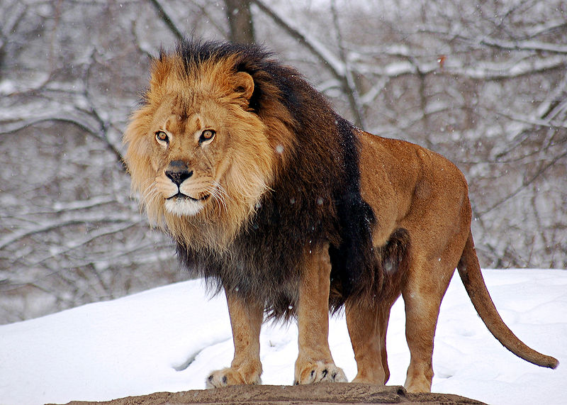 Pittsburgh Zoo & Aquarium