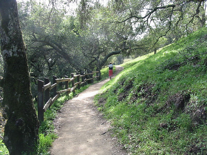 Pleasanton Ridge Regional Park