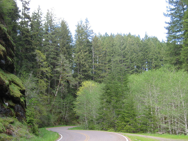 Oregon Coast Range
