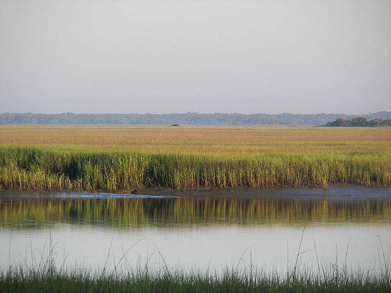 Park Stanowy Hunting Island