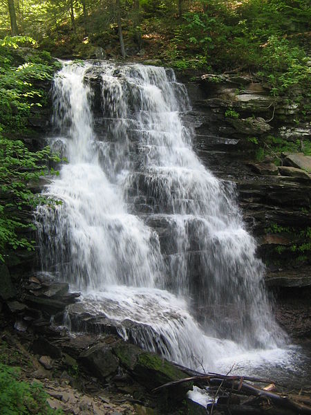 Park Stanowy Waterfalls in Ricketts Glen