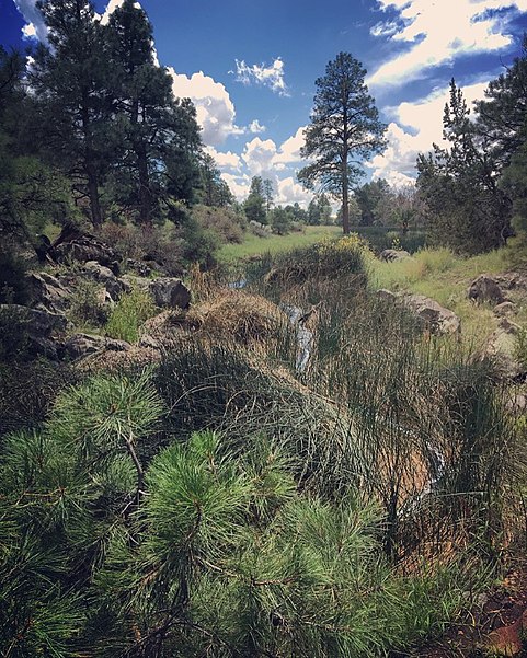 Picture Canyon Natural and Cultural Preserve