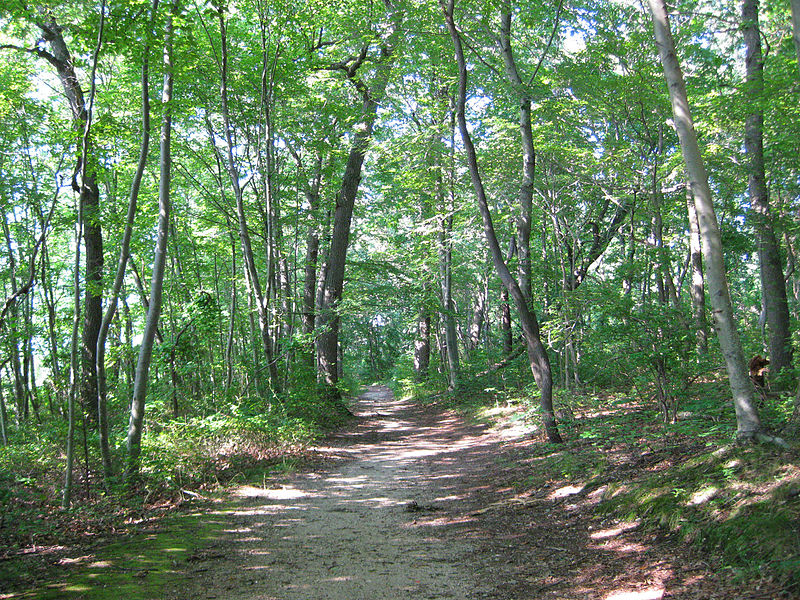 Caumsett State Historic Park Preserve