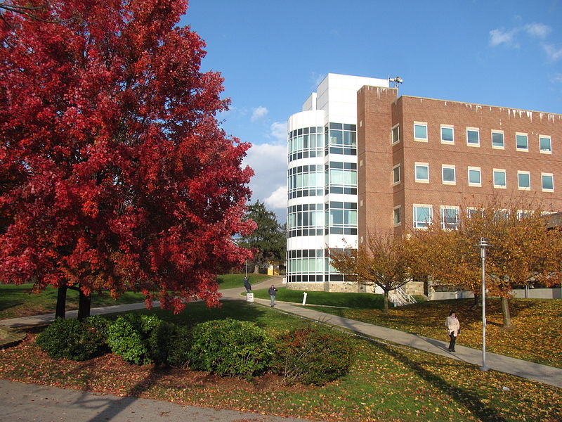 Université Brandeis