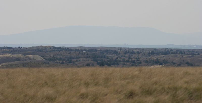 Juniper Dunes Wilderness