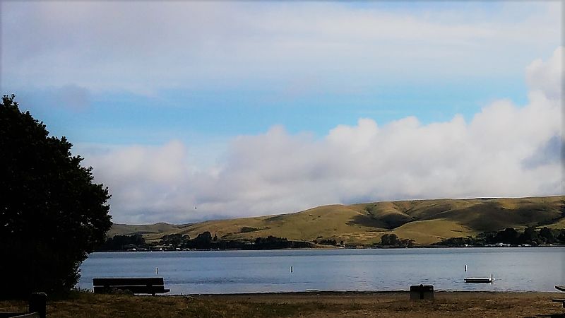 Park Stanowy Tomales Bay