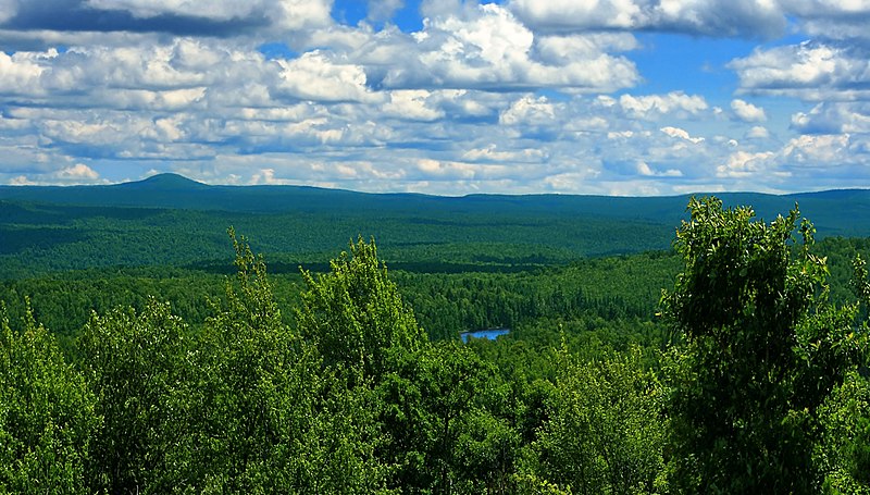 Pinchot State Forest