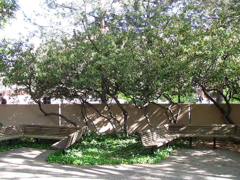 University of New Mexico Arboretum