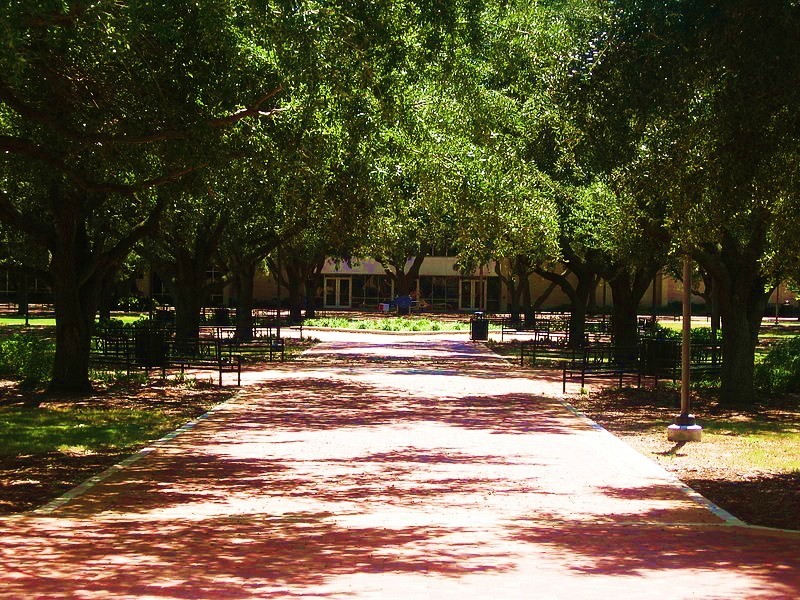 Université d'État McNeese