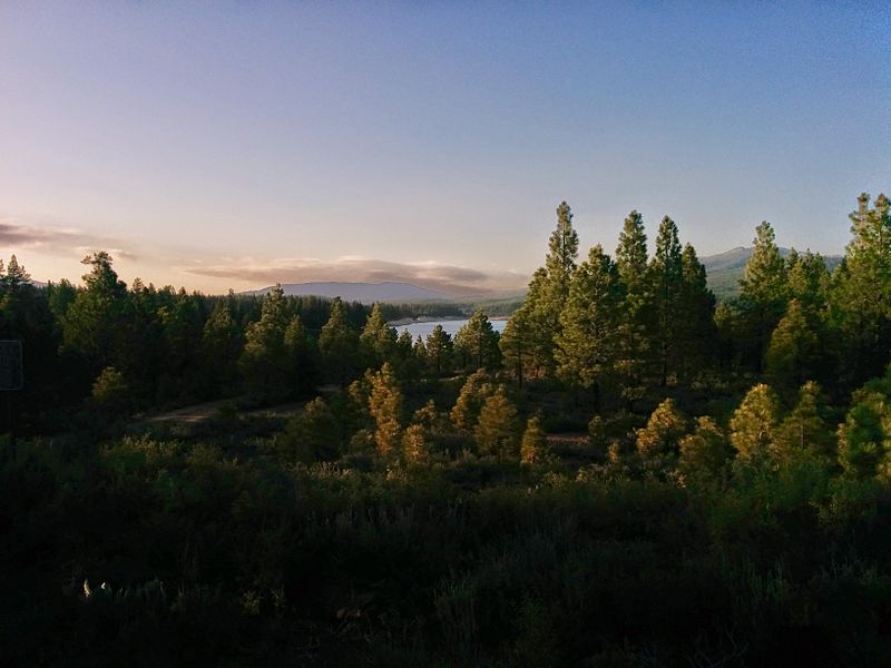 Bosque nacional Tahoe