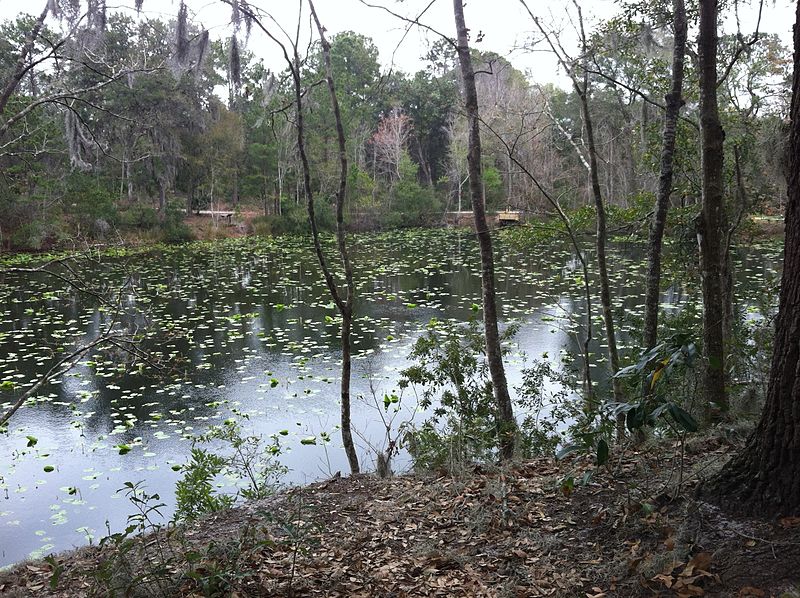 Jacksonville Arboretum & Botanical Gardens