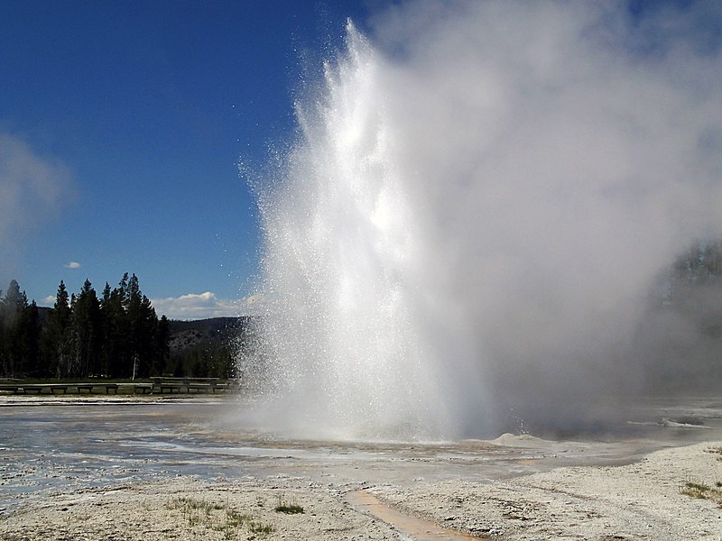 Daisy-Geysir