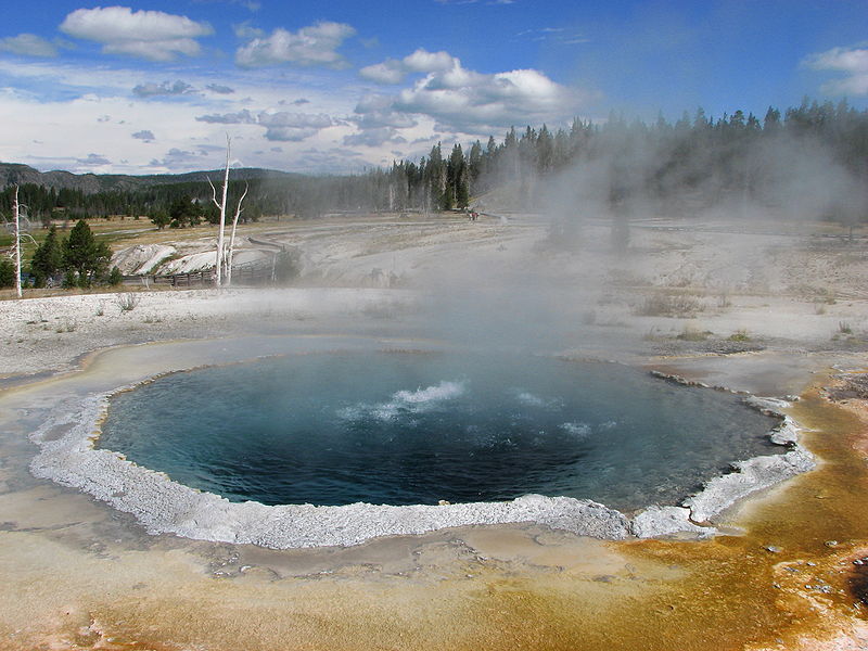 Crested Pool