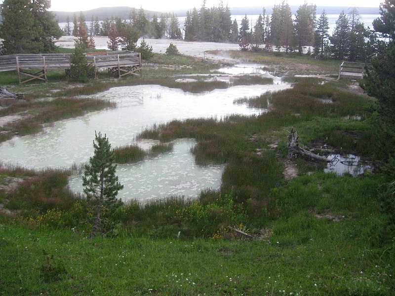 West Thumb Geyser Basin