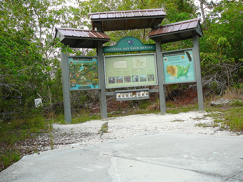 Big Pine Key