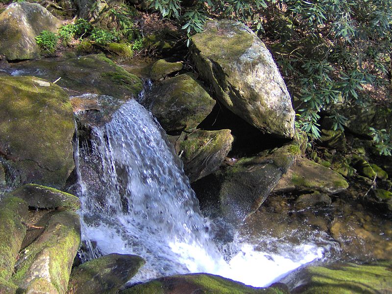 Snake Den Ridge Trail