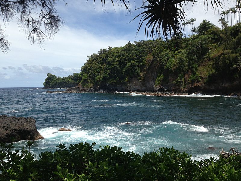 Hawaii Tropical Botanical Garden