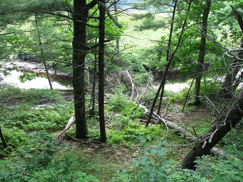 Rachel Carson National Wildlife Refuge