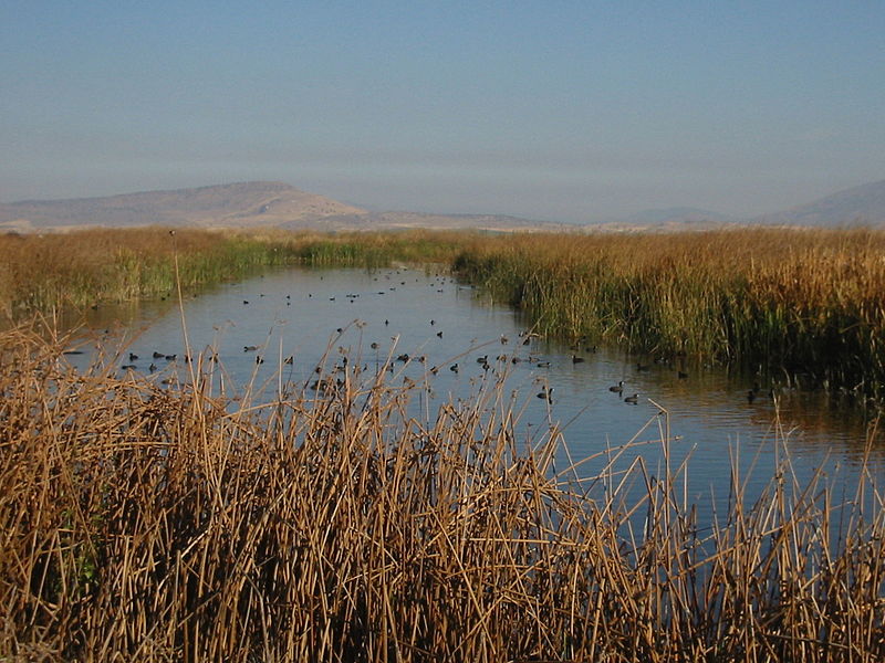 Lower Klamath National Wildlife Refuge