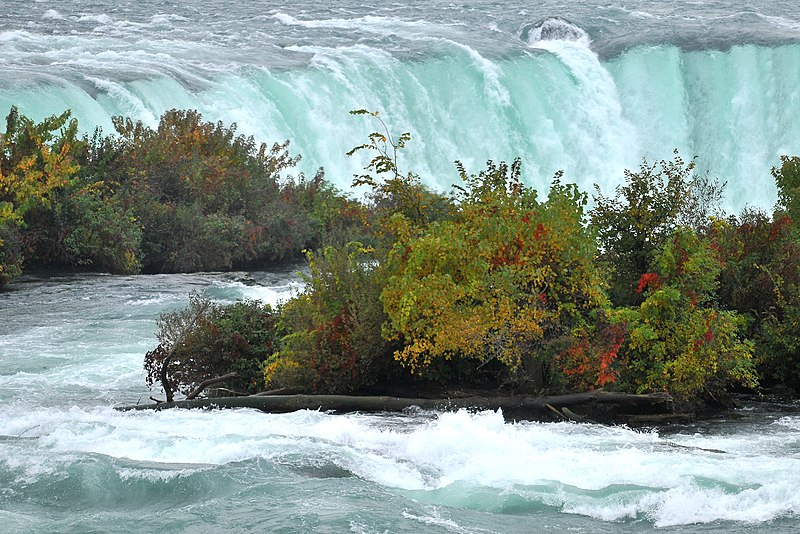 Horseshoe Falls