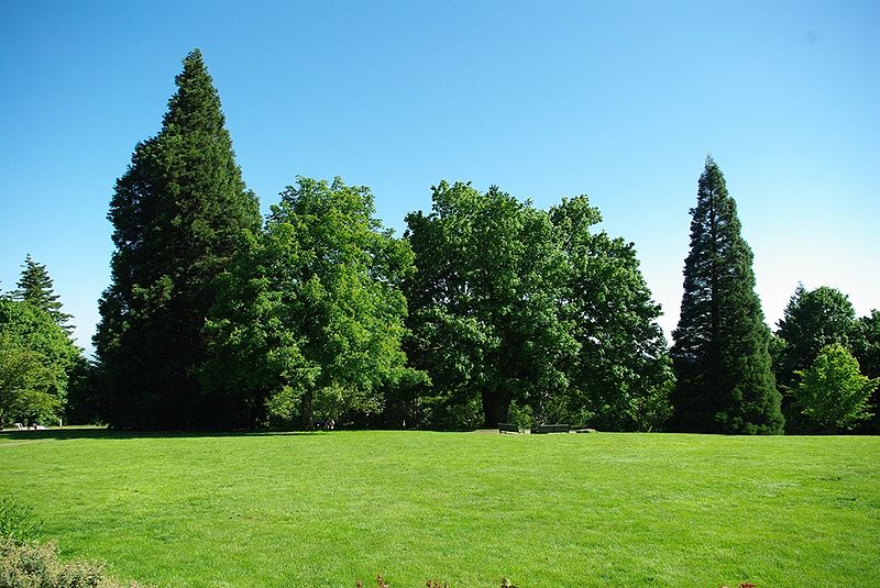 Council Crest Park