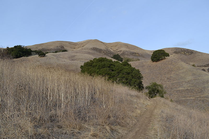 Alum Rock Park